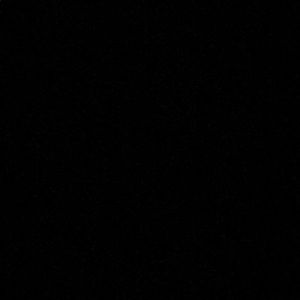 Meet your Posher, Bailey